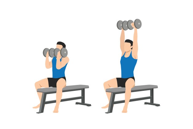 Ilustración press arnold